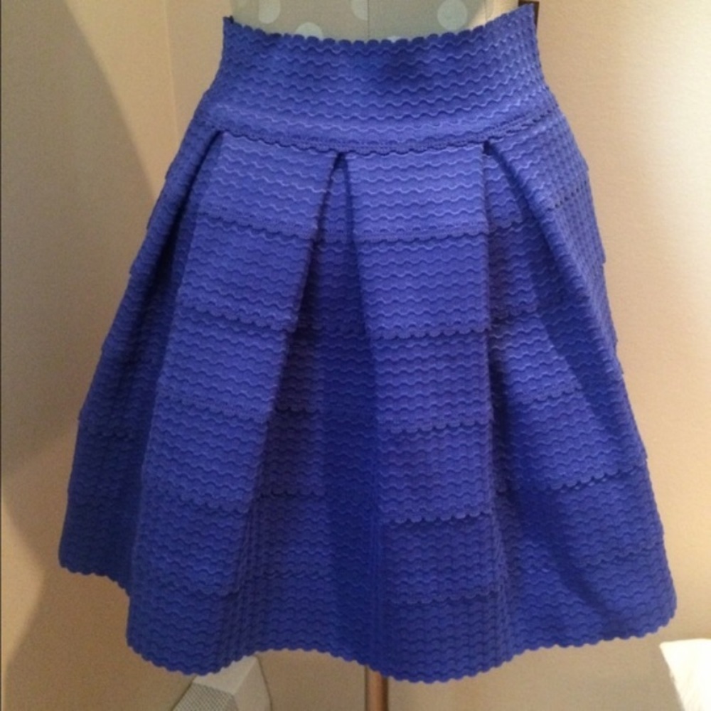 Francesca’s Skirt